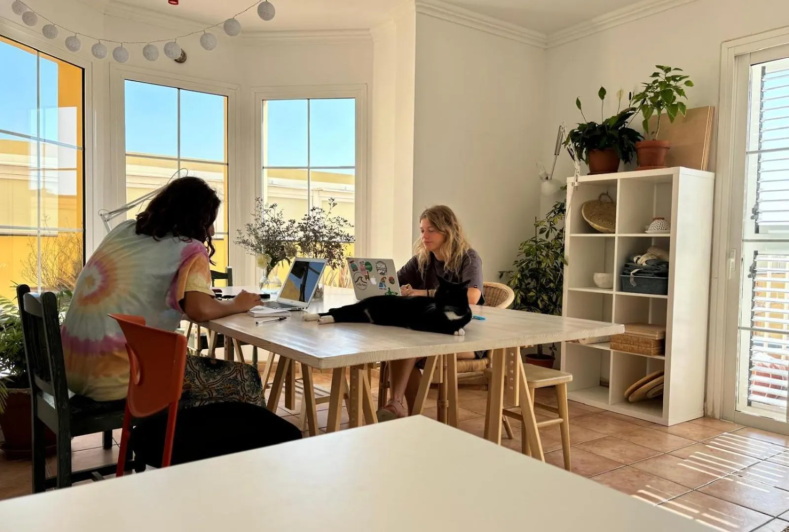 Homestay Medano Beach Coliving El Medano